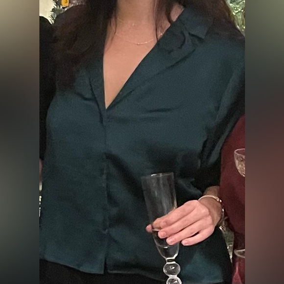 Aritzia satin button-up blouse - Picture 3 of 3